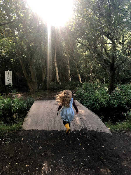 This image has an empty alt attribute; its file name is pcdcblog-2.jpg